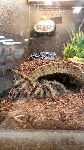 Pet Supply Store «PetSmart», reviews and photos, 4023 Lavista Rd, Tucker, GA 30084, USA