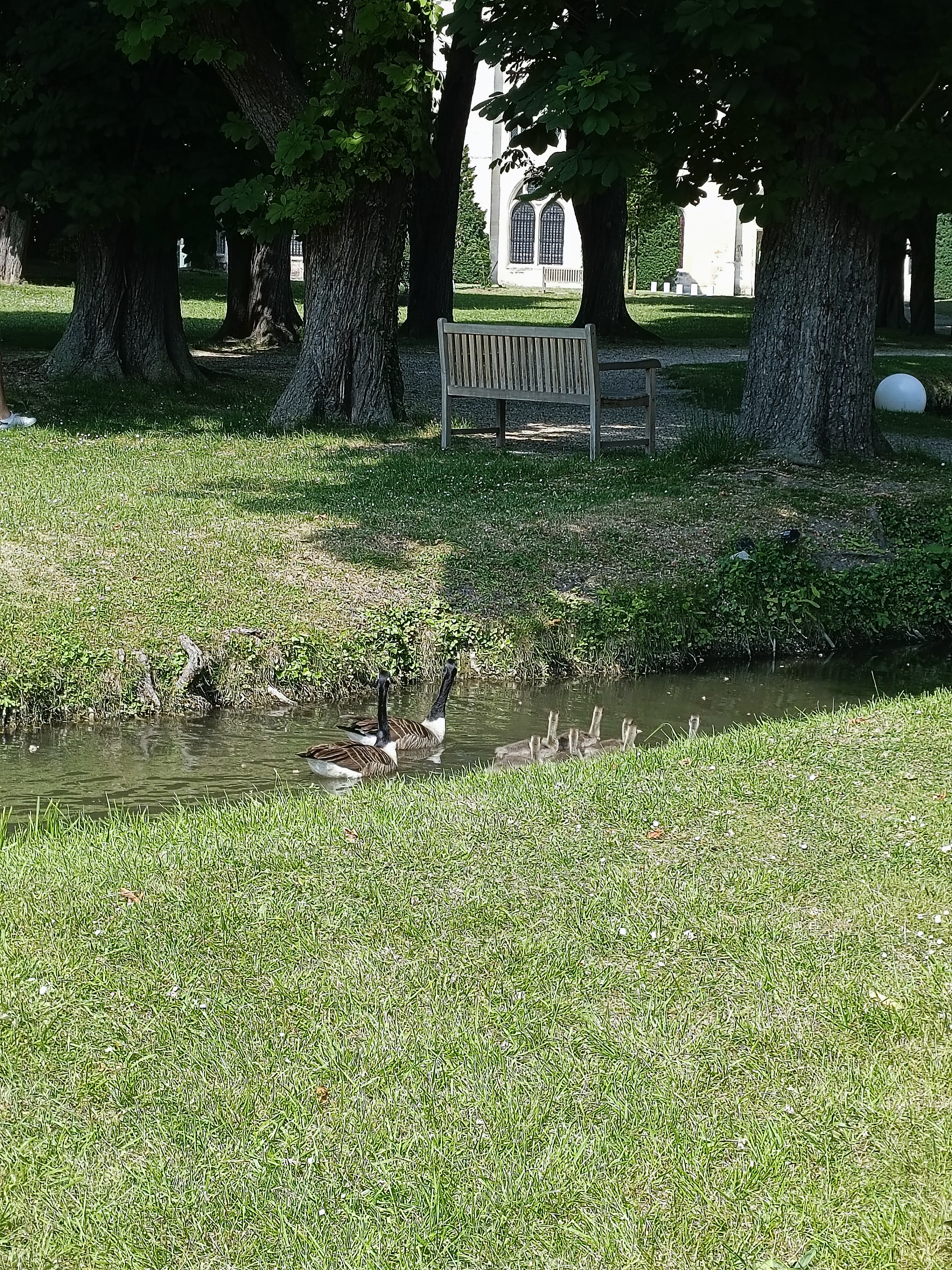 Photo n° 1 de l'avis de march.a fait le 09/06/2023 à 19:32