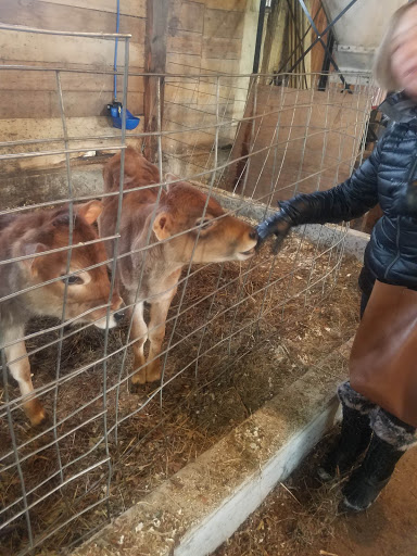 Tourist Attraction «Quarry Hill Farm», reviews and photos, 4405 VT-15, Jeffersonville, VT 05464, USA