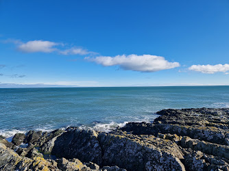 The Beach Bear Greystones