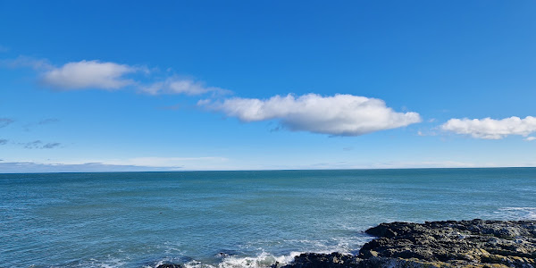 The Beach Bear Greystones