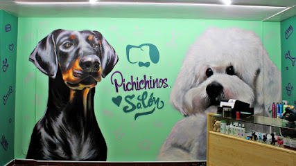 Pichichinos Peluquería Canina - Servicios para mascota en Lugo