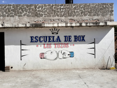 Gimnasio de Box los tusos - González Ortega 22C, Providencia, 98640 Trancoso, Zac., Mexico