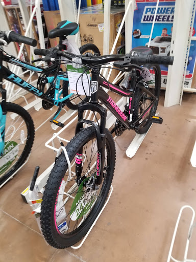 Bicycle wholesaler Laredo