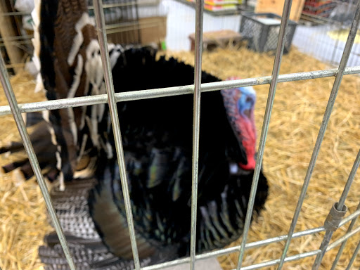 Pet Store «Teske Pet & Garden», reviews and photos, 2423 16th St, Moline, IL 61265, USA