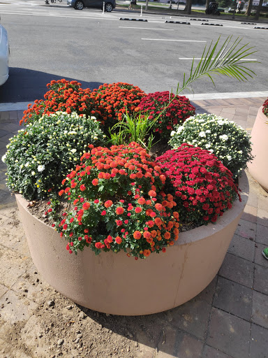 History Museum «Newseum», reviews and photos, 555 Pennsylvania Ave NW, Washington, DC 20001, USA