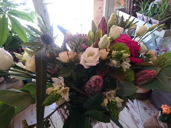 Imagen de Floristeria Taller de Fantasias (3 de 18)