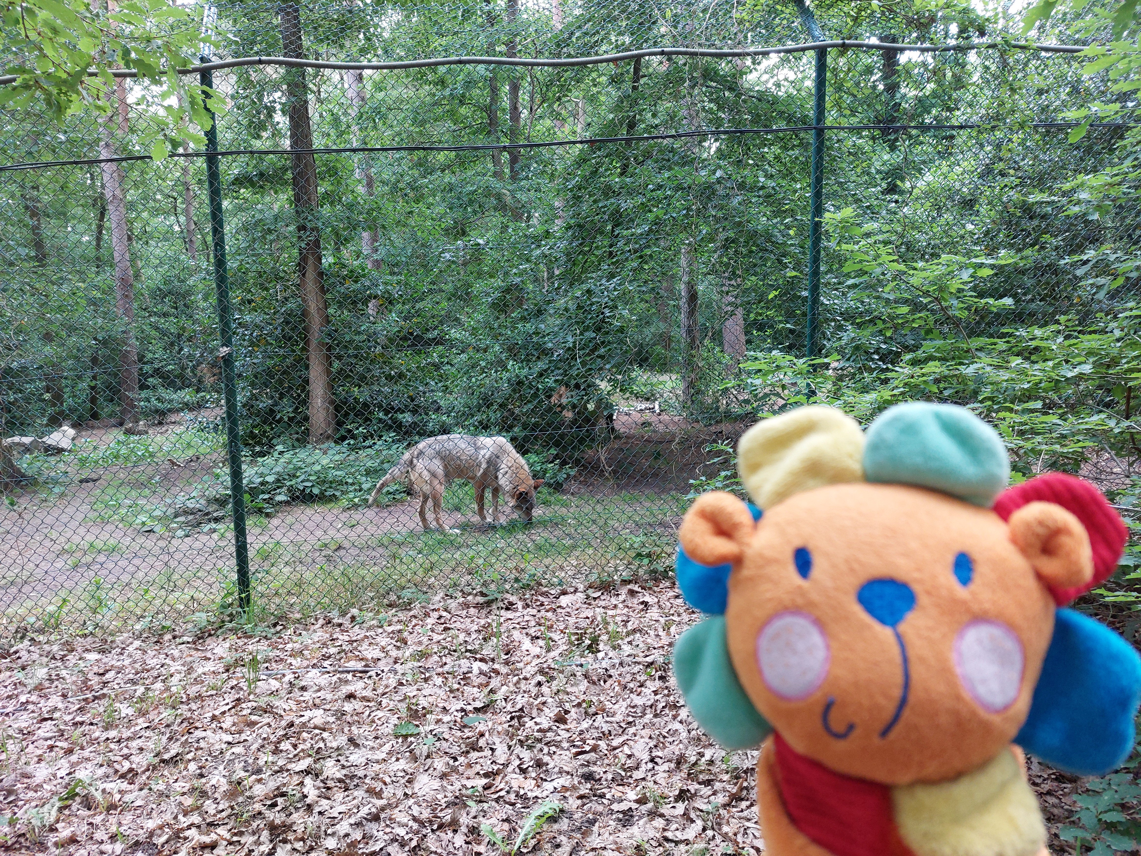 Photo n° 1 de l'avis de Agent.C fait le 31/05/2022 à 08:02