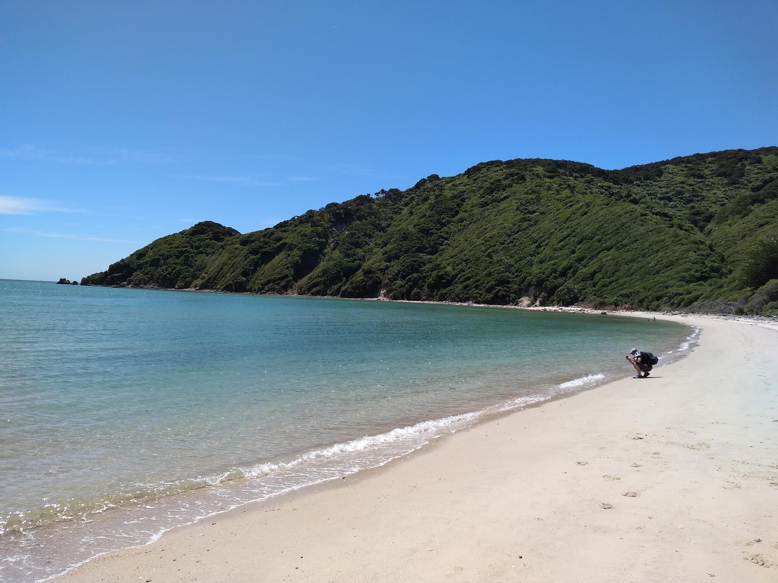 Photo de Wainui Beach avec baie spacieuse