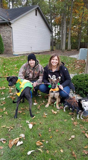 Pet Supply Store «Pet Supplies Plus», reviews and photos, 6101 Stellhorn Rd, Fort Wayne, IN 46815, USA