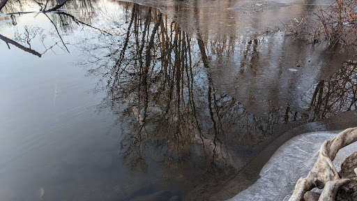 Nature Preserve «Burns-Stokes Preserve», reviews and photos, Zeeb Rd, Dexter, MI 48130, USA