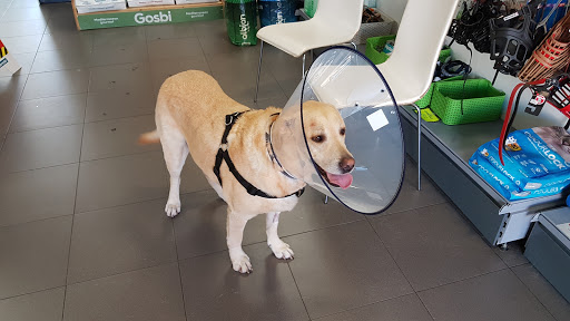 Centro Veterinario Qvets en Quart