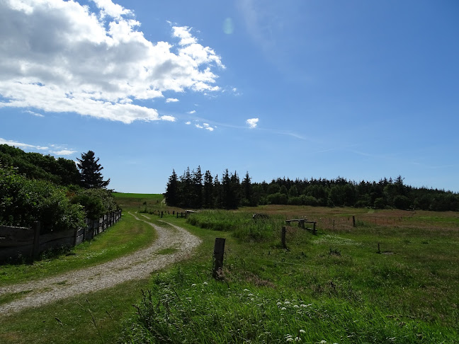 Myrthuegård, MYRTHUE - Kultur, Natur & Læring - Varde