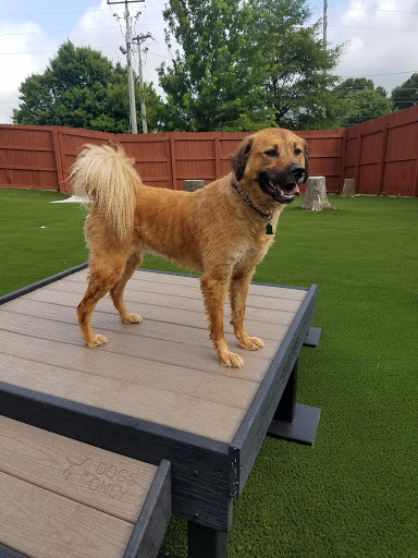 Pet Supply Store «Rucker Horse & Pet», reviews and photos, 3540 Keith Bridge Rd, Cumming, GA 30041, USA