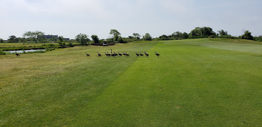 Golf Club «Bergen Point Golf Course», reviews and photos, 69 Bergen Ave, West Babylon, NY 11704, USA