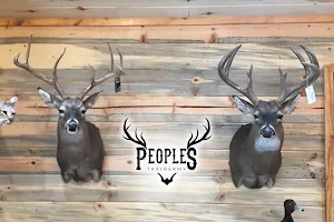 Peoples Taxidermy image