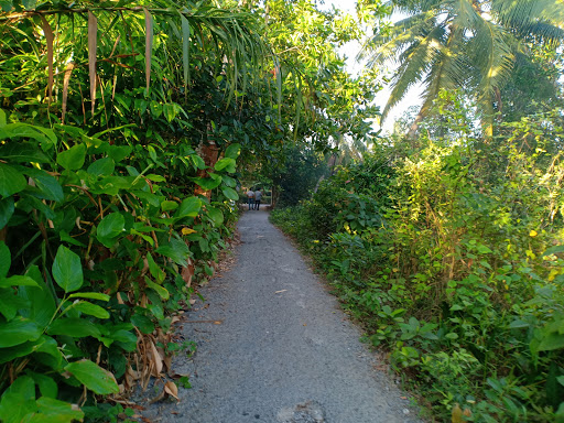 Top 13 cửa hàng kim giáp Huyện Trà Ôn Vĩnh Long 2022