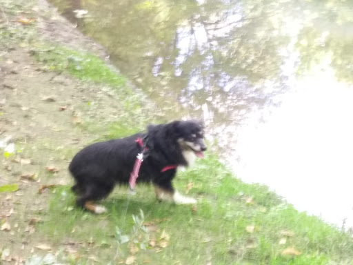 Park «Noble Woods Park», reviews and photos, 475 SE Century Blvd, Hillsboro, OR 97123, USA