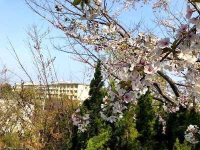 石尾台公園