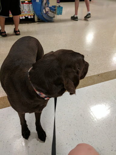 Pet Supply Store «PetSmart», reviews and photos, 5200 W Main St, Kalamazoo, MI 49009, USA