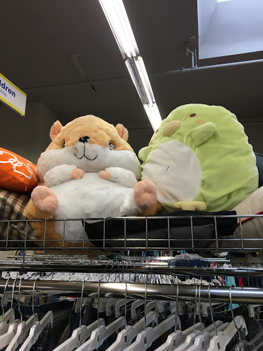 Non-Profit Organization «Goodwill», reviews and photos, 2058 University Ave, Berkeley, CA 94704, USA