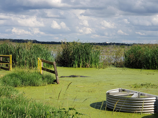 Nature Preserve «Lake Apopka North Shore», reviews and photos, 24600 County Road 448A, Mt Dora, FL 32757, USA