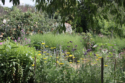 Jardin Pouplier à Montreuil