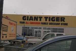 Giant Tiger image