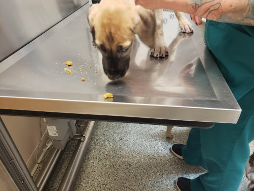 Shopping Mall «Greenbrier Shopping Center», reviews and photos, 225 Brierhill Dr, Bel Air, MD 21015, USA