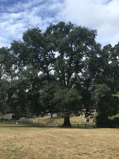 Park «Albert Kelly Park», reviews and photos, SW Dosch Rd & SW Mitchell St, Portland, OR 97239, USA