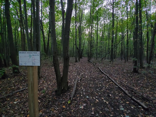 Trailhead #1