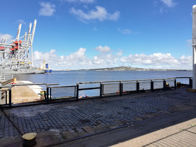 Seacat Montevideo - Montevideo