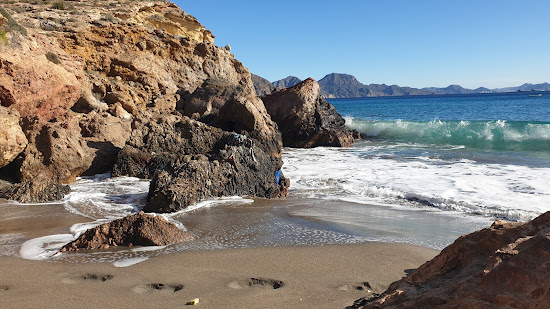 Playa de la Avispa