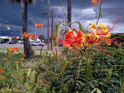 Thrift Store «Goodwill - McColl (Edinburg)», reviews and photos