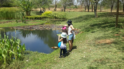 Jardín Botánico de Maracaibo