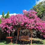 Photo n°3 de l'avis de Elena.o fait le 24/08/2023 à 23:27 sur le  Restaurante Aldeia da Cuada à Fajã Grande