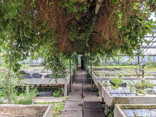 Pond Supply Store «Waterford Gardens», reviews and photos, 74 E Allendale Rd, Saddle River, NJ 07458, USA