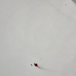 Photo n°4 de l'avis de M... fait le 04/10/2023 à 13:07 sur le  Hotel Capitol à Pisa