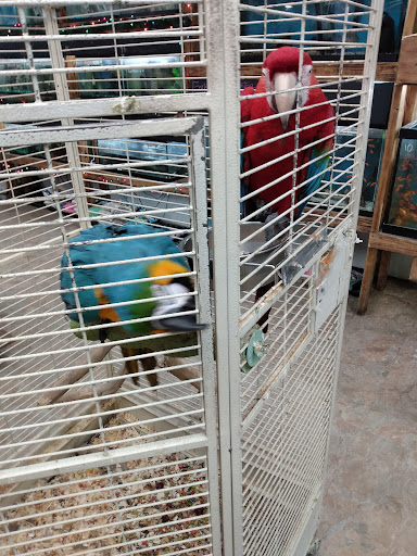 Pet Store «Feed-Rite Pet Supply», reviews and photos, 2979 Fort St, Lincoln Park, MI 48146, USA