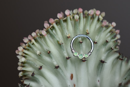 Explore medium sized tattoo ideas, creative tattoo ideas in Phoenix, available at Wholehearted Body Piercing