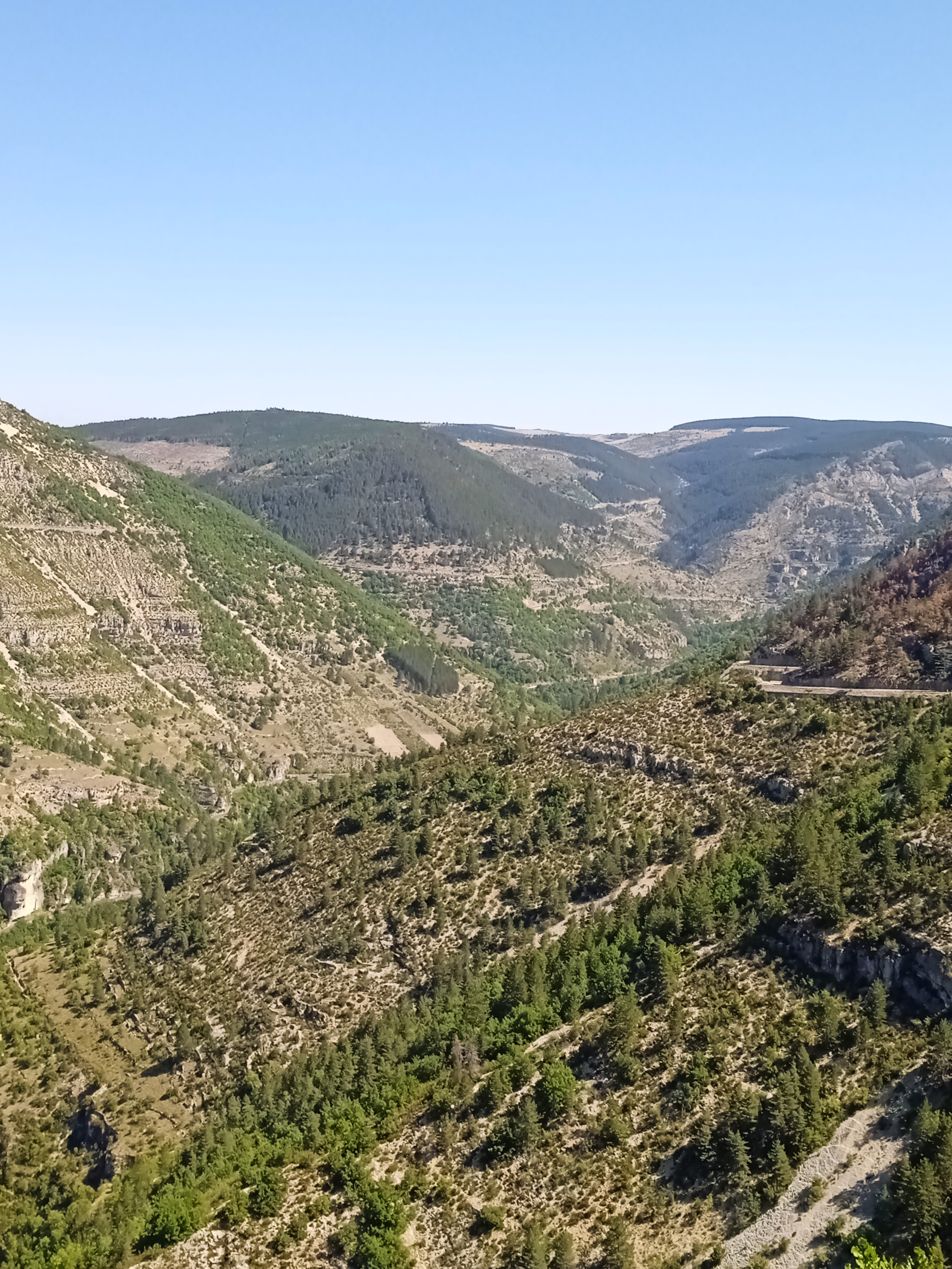 Photo n° 2 de l'avis de Rv. fait le 27/07/2022 à 17:42