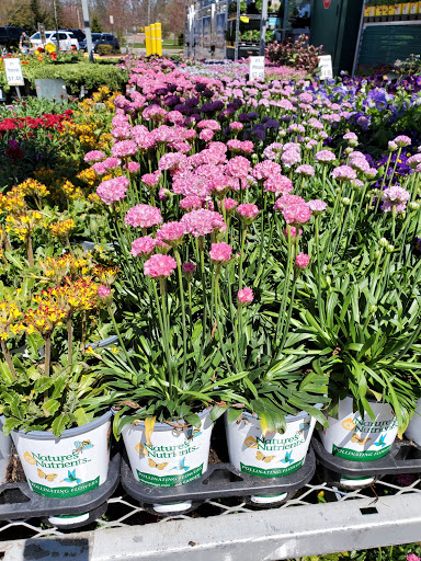 Home Improvement Store «The Home Depot», reviews and photos, 79 US-46, Pine Brook, NJ 07058, USA