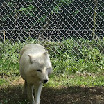 Photo n° 22 de l'avis de stella.i fait le 29/10/2023 à 09:33 pour Domaine des Fauves à Les Abrets en Dauphiné