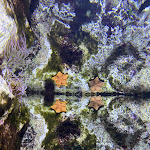 Photo n° 5 de l'avis de allison.m fait le 27/07/2021 à 09:37 pour Aquarium de Lyon à La Mulatière