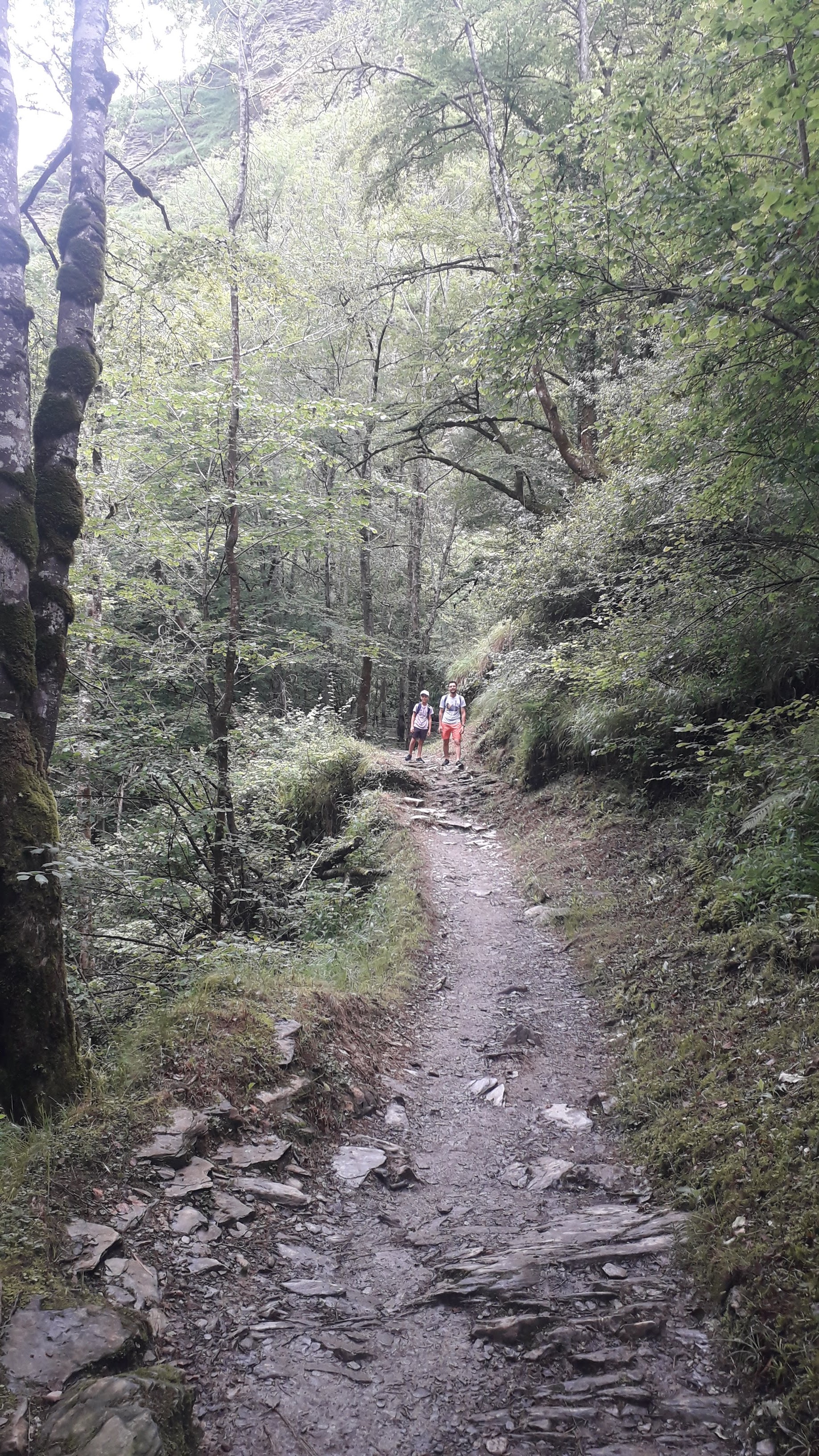 Photo n° 2 de l'avis de Manon.e fait le 20/07/2023 à 13:41
