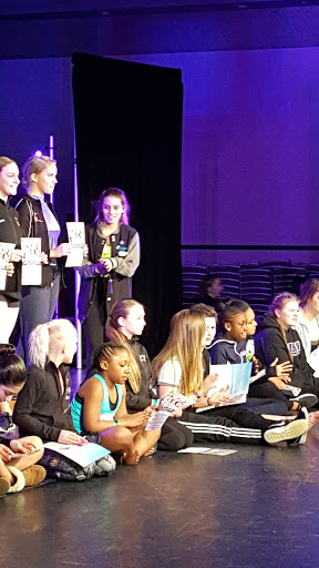 Dance School «Moves Dance Studio, Inc.», reviews and photos, 14 E State St, North Aurora, IL 60542, USA