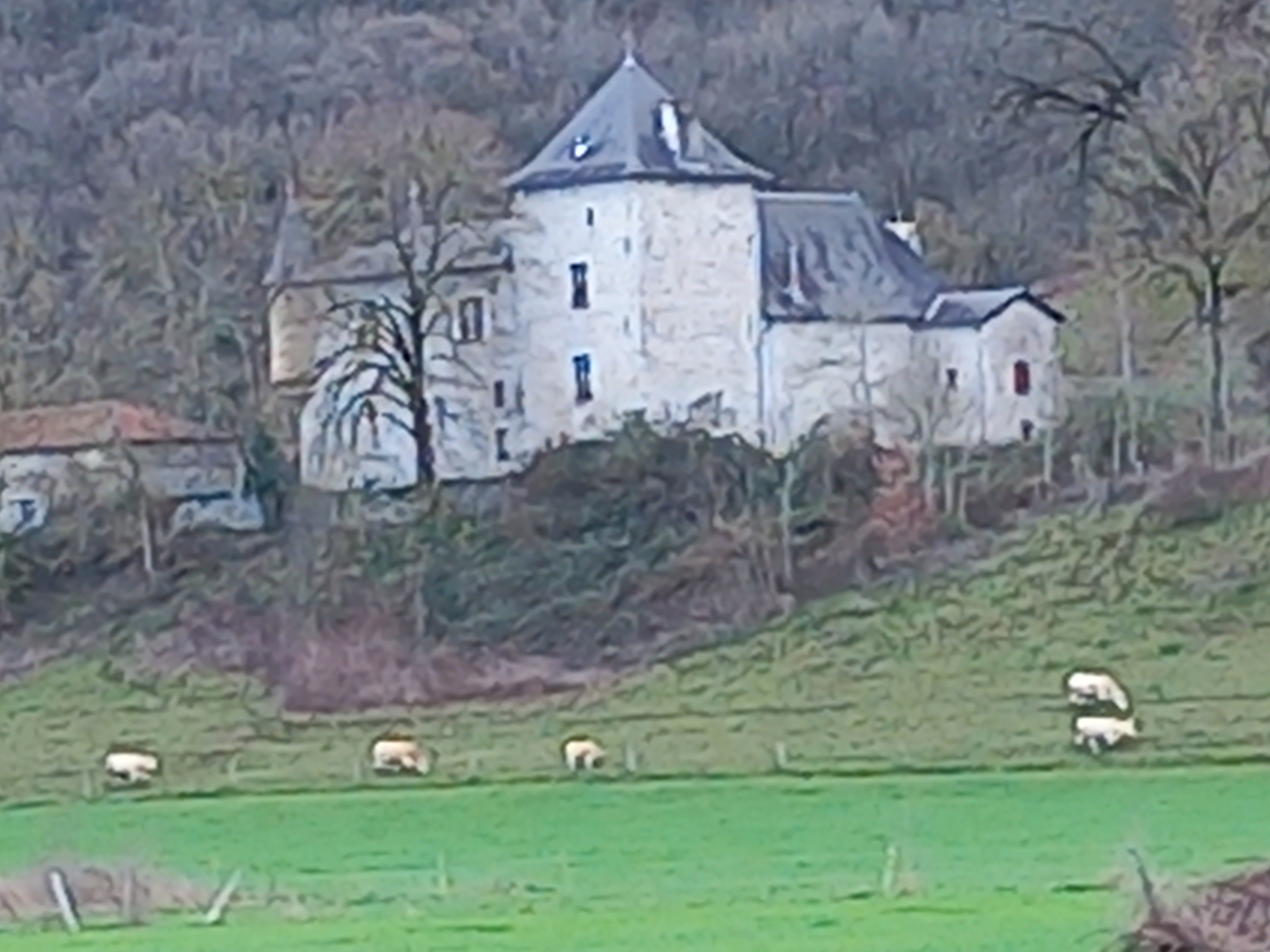 Photo n° 1 de l'avis de Olivier.e fait le 19/03/2023 à 16:45