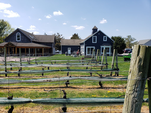 Winery «Diliberto Winery», reviews and photos, 250 Manor Ln, Riverhead, NY 11901, USA