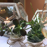 Photo n°2 de l'avis de Giovanna.q fait le 06/07/2018 à 13:27 sur le  Ristorante Maccagno à Maccagno con Pino e Veddasca