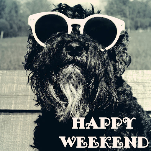 Law Firm «The Schill Law Group», reviews and photos